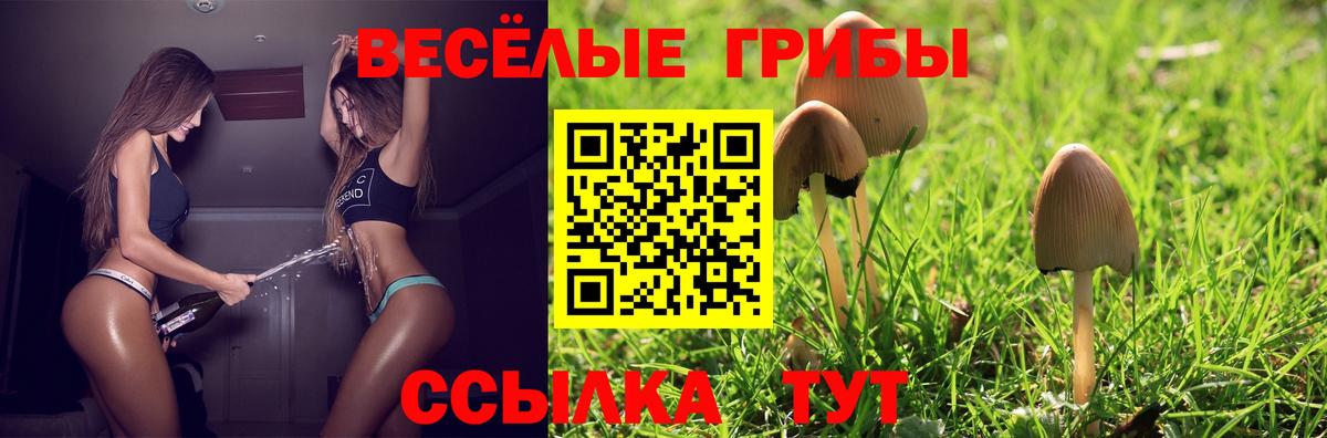 Галлюциногенные грибы мицелий Менделеевск